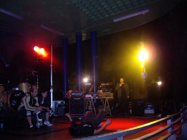 Hernani-Elkartasun eguna 2008 (3).jpg